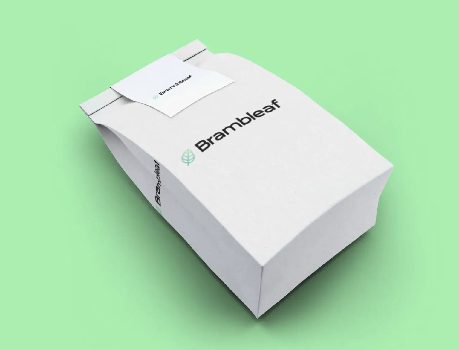 Brambleaf branded mailer box packaging on a green background