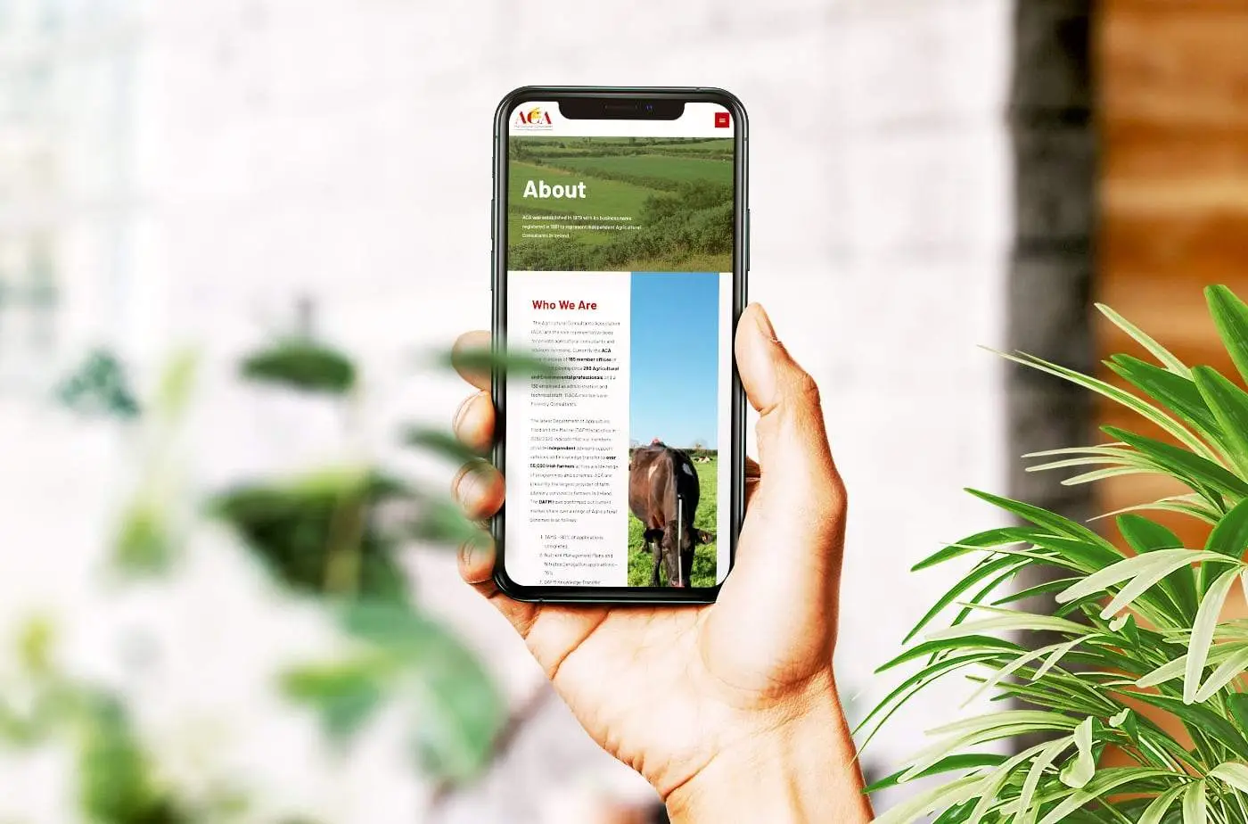 Hand holding a smartphone showing a mobile website design