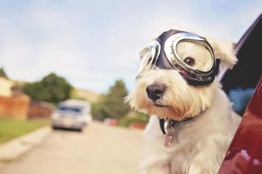 beating-air - Brand You Creative No more beating the air- Targeting your market right - Find Your Target Market In UK